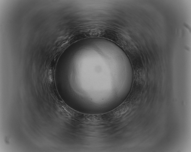 X0000091460962200708231313