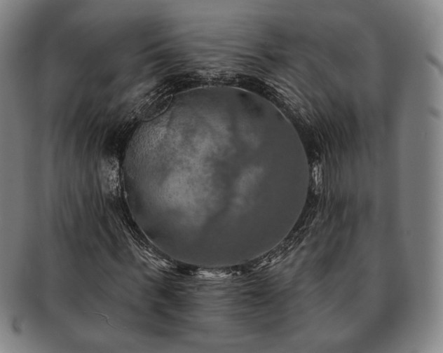 X0000091460963200708231313
