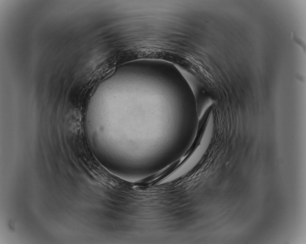 X0000091460964200708231313