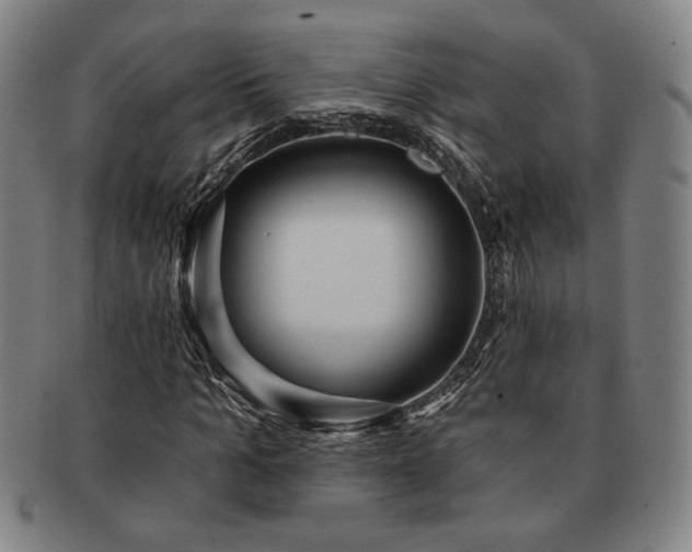 X0000091460965200708231313