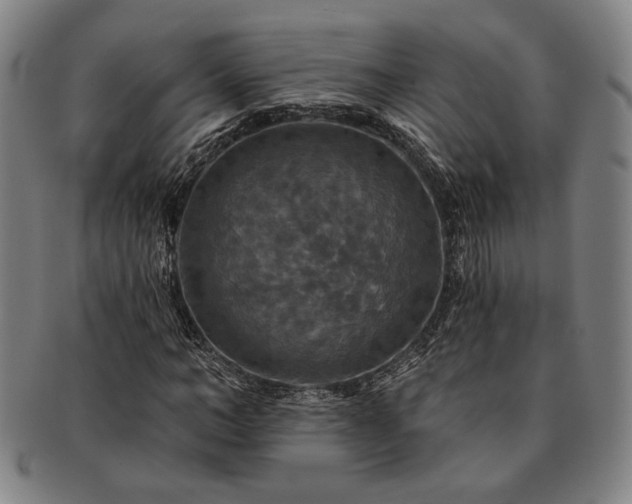 X0000091460966200708231313
