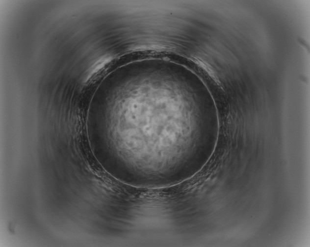 X0000091460967200708231313