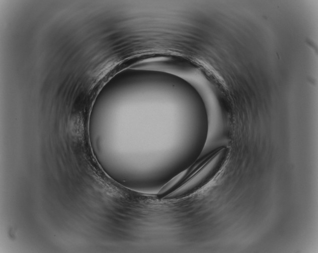 X0000091460969200708231313