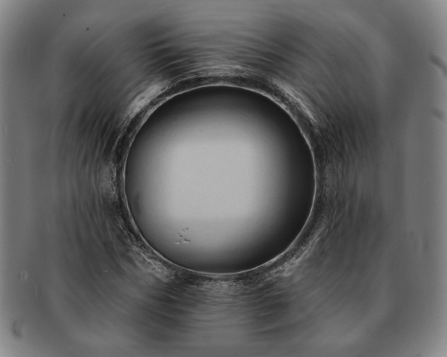 X0000091460970200708231313