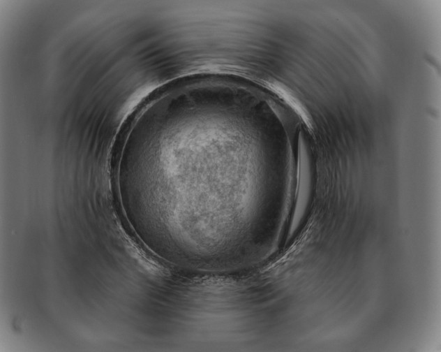X0000091460972200708231313