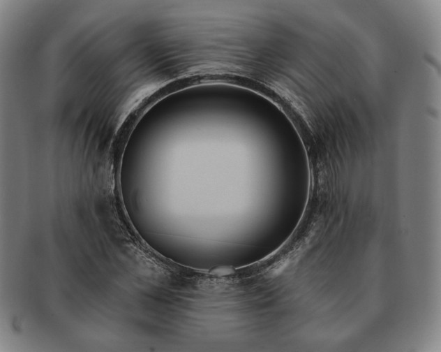 X0000091460973200708231313