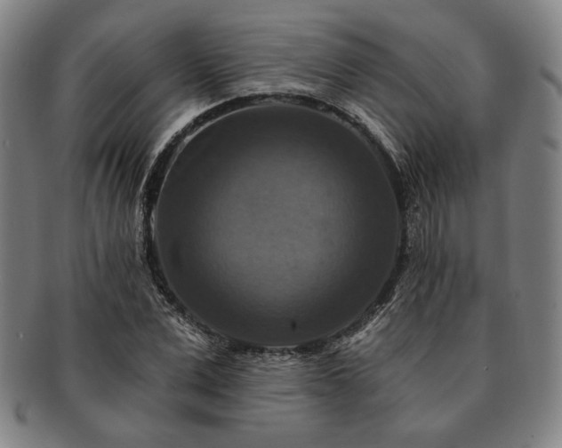 X0000091460975200708231313