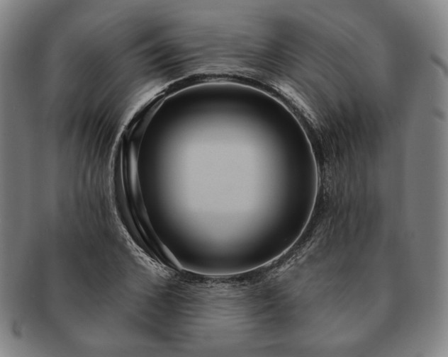 X0000091460976200708231313
