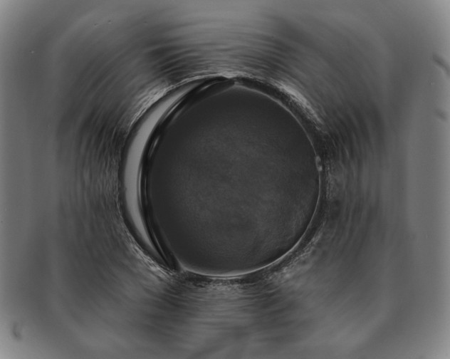 X0000091460977200708231313