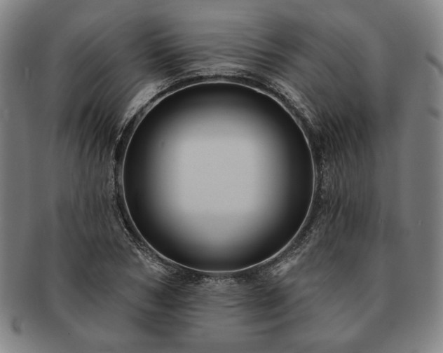 X0000091460978200708231313