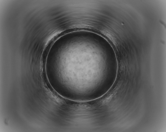 X0000091460979200708231313