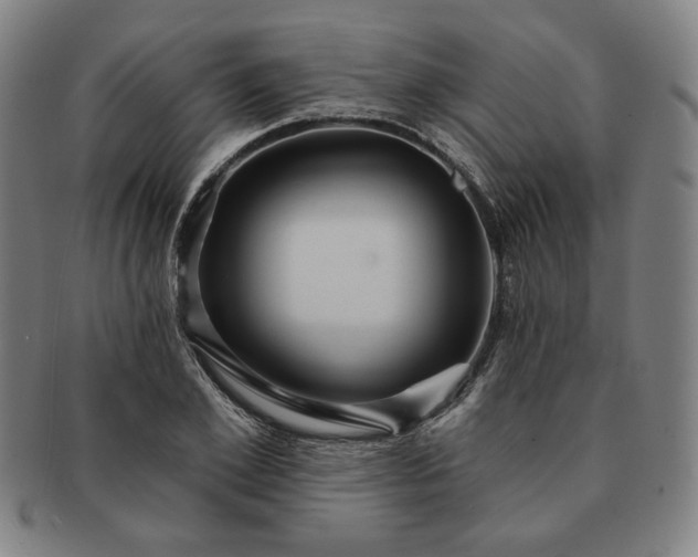 X0000091460981200708231313