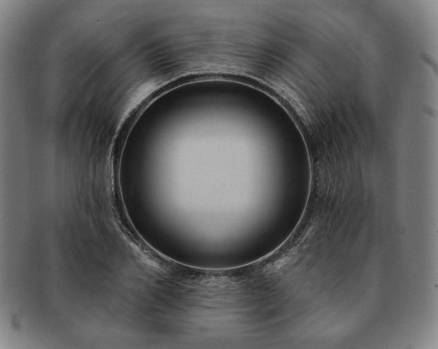 X0000091460982200708231313