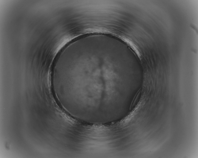 X0000091460983200708231313