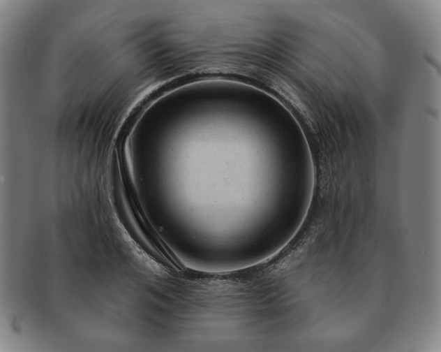 X0000091460984200708231313