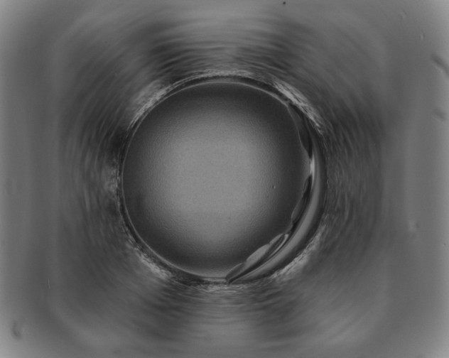 X0000091460985200708231313
