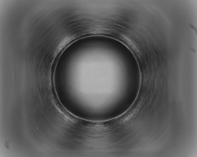 X0000091460986200708231313
