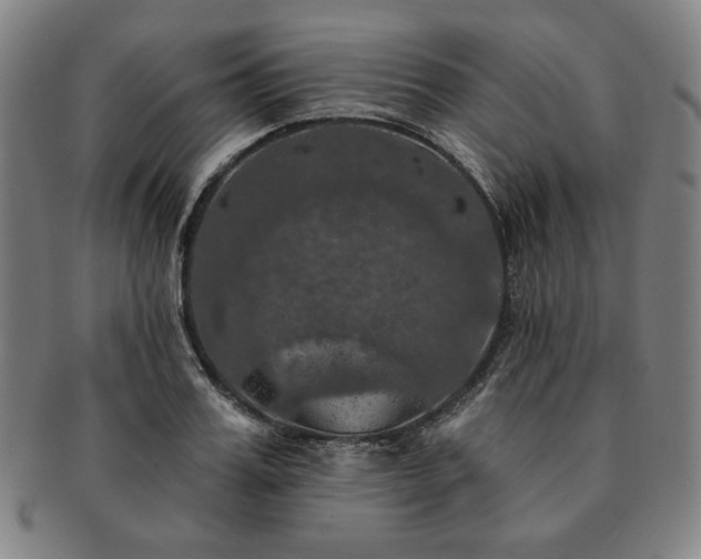 X0000091460987200708231313