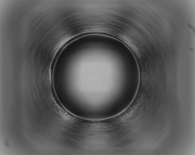 X0000091460988200708231313