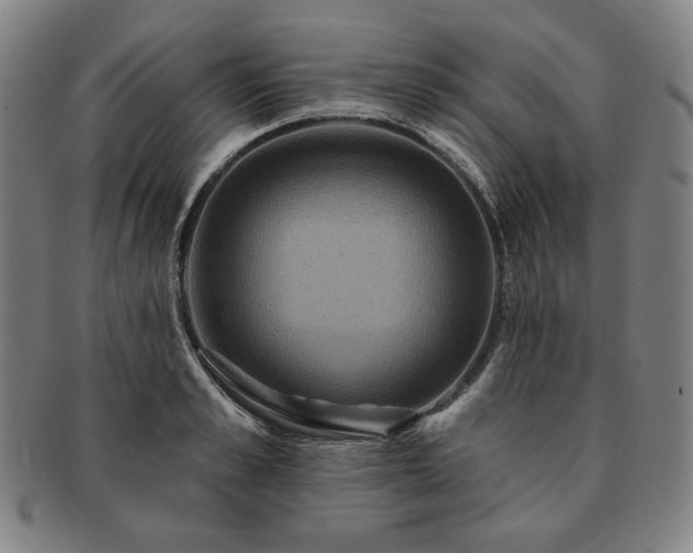 X0000091460989200708231313