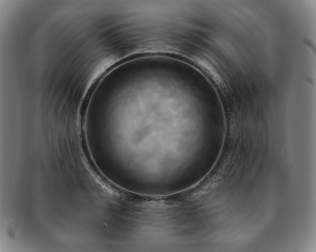 X0000091460990200708231313