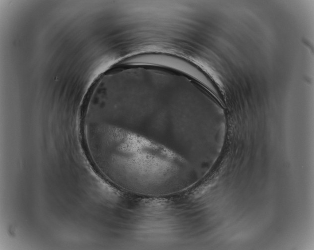 X0000091460991200708231313