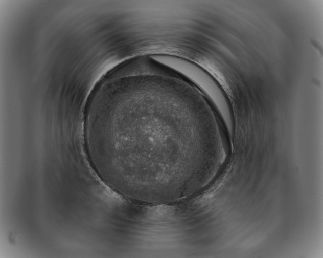 X0000091460992200708231312