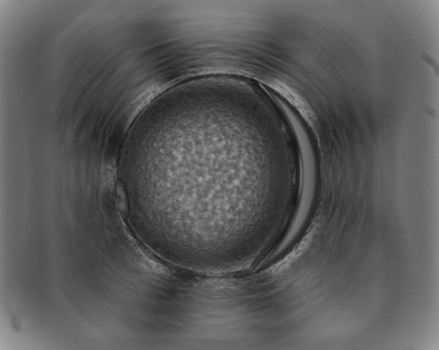 X0000091460993200708231312