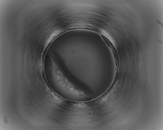 X0000091460994200708231312