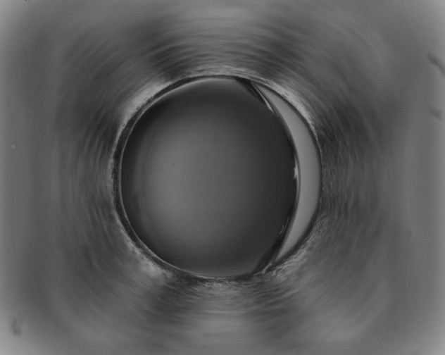X0000091460995200708231312