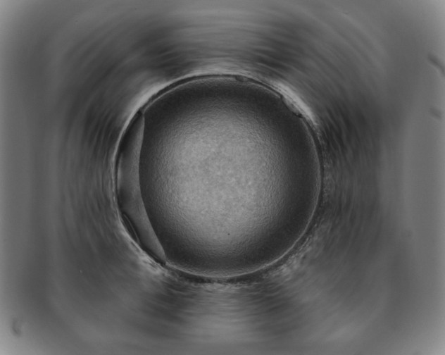 X0000091460996200708231312