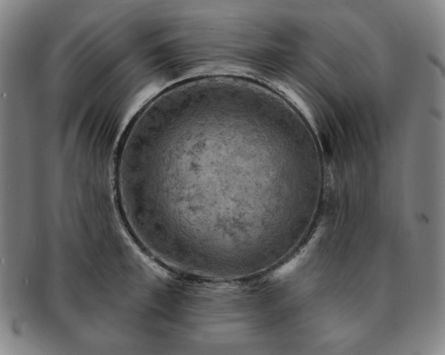 X0000091460997200708231312