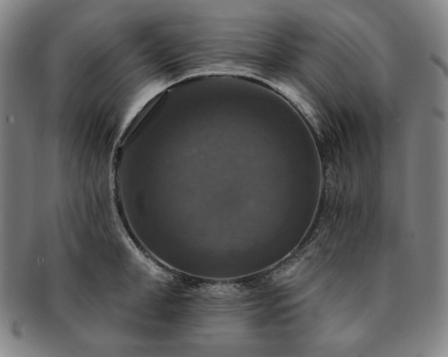 X0000091460998200708231312