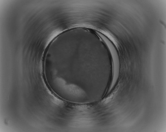 X0000091460999200708231312