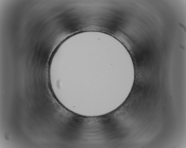 X0000091461000200708231312