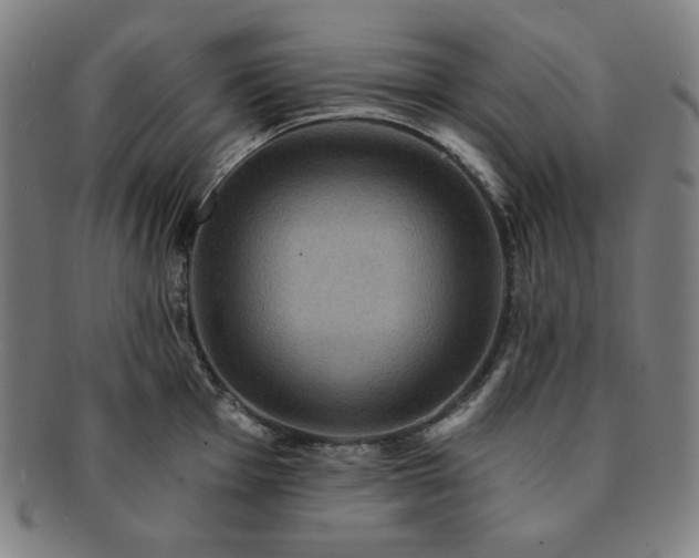 X0000091461001200708231312