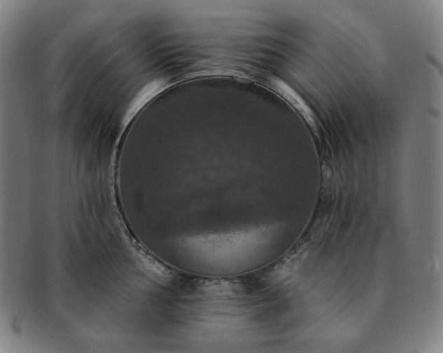 X0000091461002200708231312