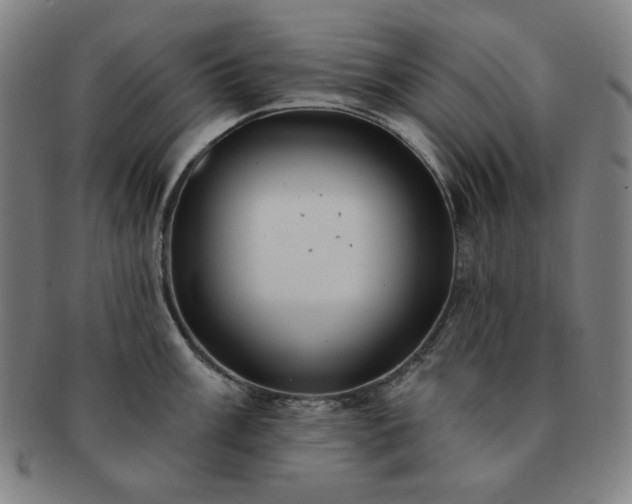 X0000091461003200708231312