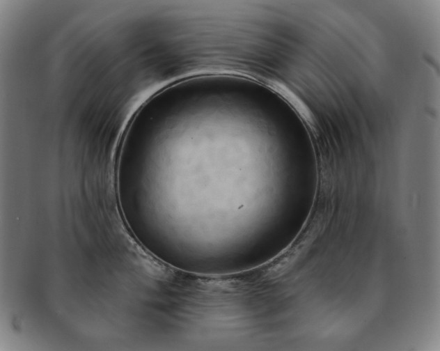 X0000091461004200708231312