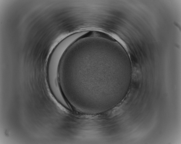 X0000091461005200708231312
