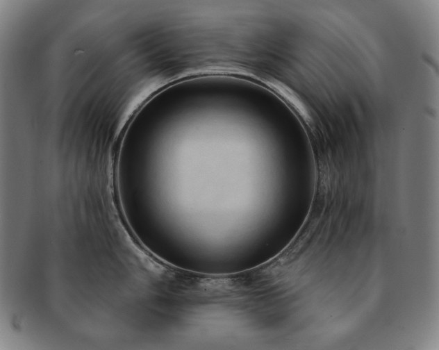 X0000091461006200708231312