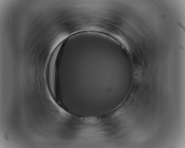 X0000091461007200708231312