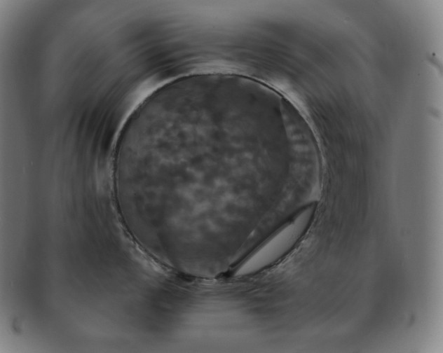X0000091461008200708231312