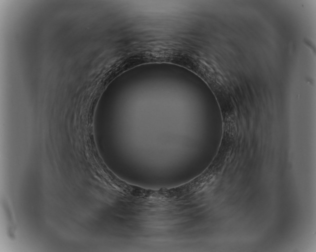 X0000091461009200708231312