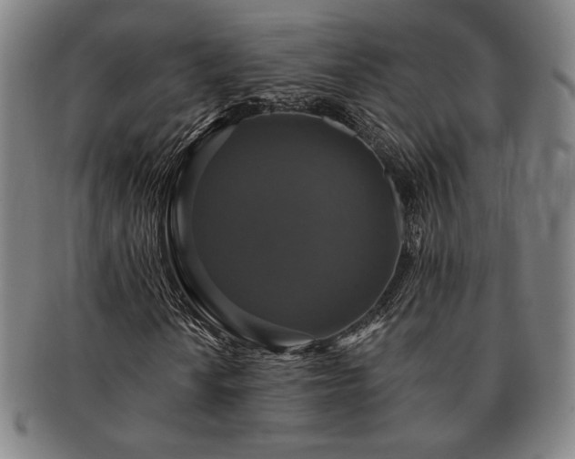 X0000091461010200708231312