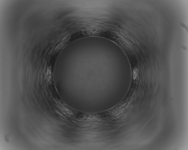 X0000091461011200708231312