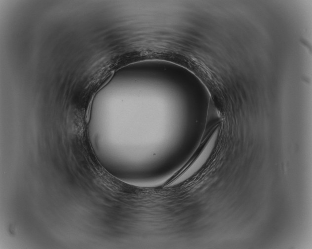 X0000091461012200708231312