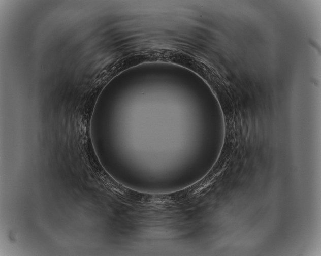 X0000091461013200708231312