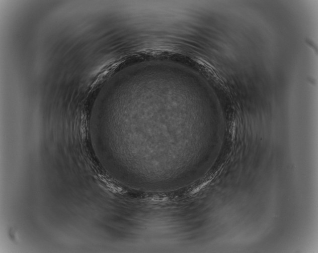 X0000091461014200708231312