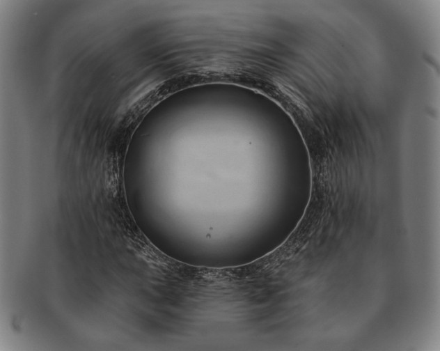 X0000091461015200708231312
